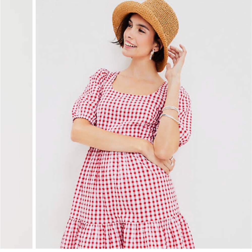 LOFT Red and White Gingham Dress